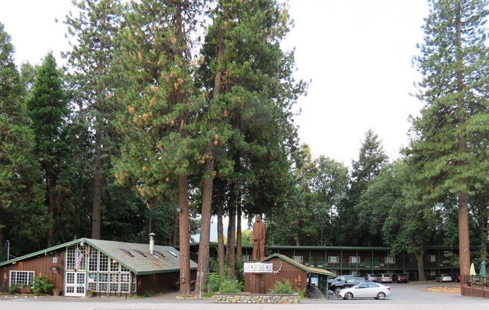 Shasta Inn Маунт-Шаста Экстерьер фото